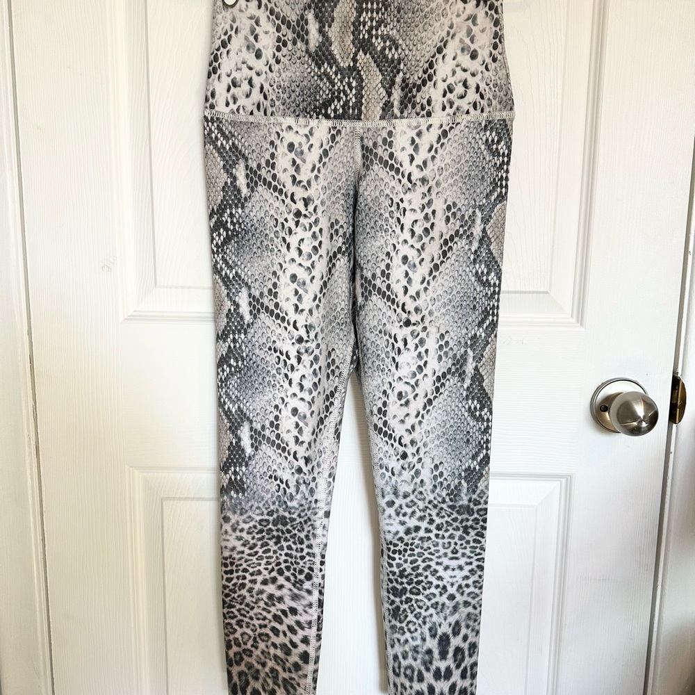 Evolution & Creation Leggings